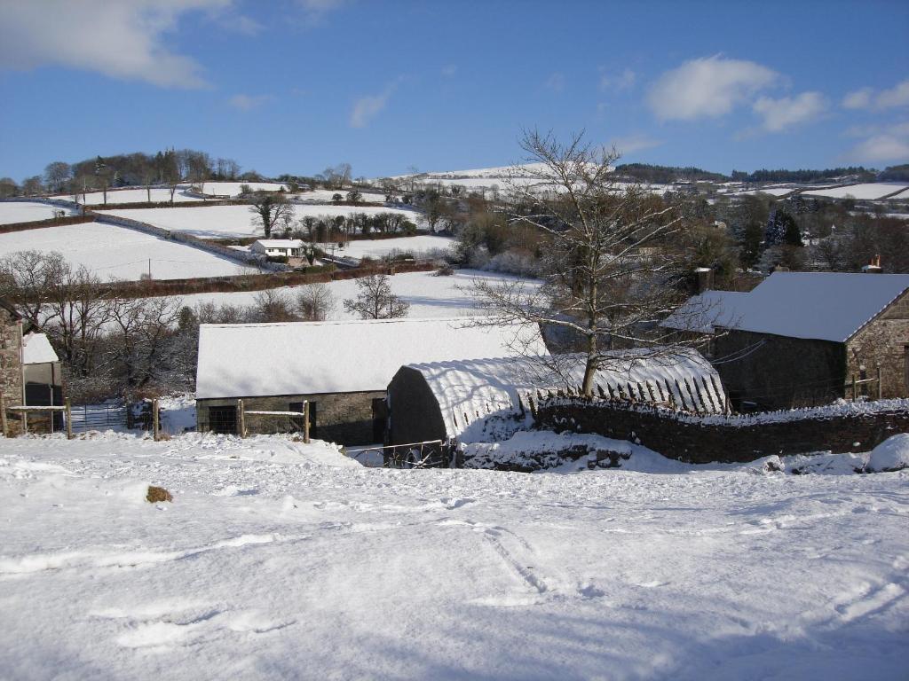 Hotel The Old School House Yelverton Esterno foto